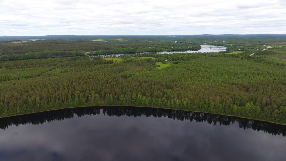 Sierilän voimala tulisi keskelle kuvassa näkyvää Sieriniemeä, jonka poikki kaivetaan runsaan kilometrin pitkä voimalaitoskanava. Kuva on alajuoksun suuntaan taustalla näkyy Kemijoen ylittävä Oikaraisen silta. Sieriniemi, Rovaniemi 12.6.2019    