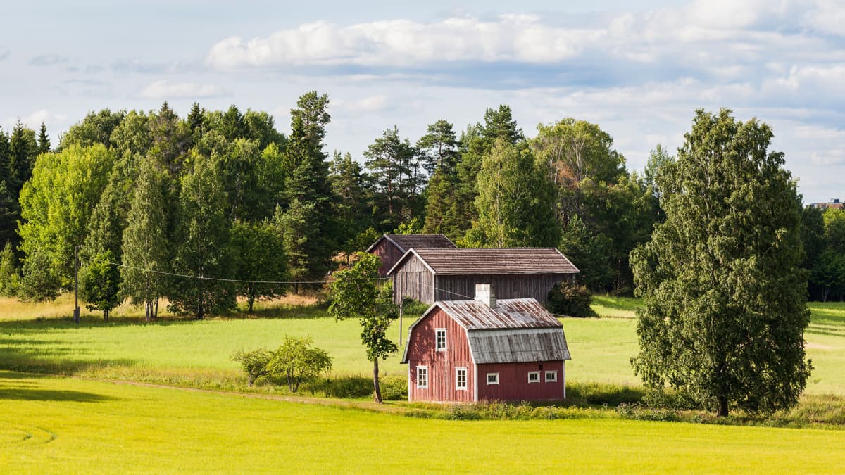 Maalaismaisema jossa pari latoa ja vanha talo.