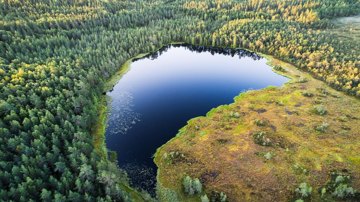 Maanmittauslaitos selvitti: Suomi on tuhansien järvien maa | Yle Uutiset