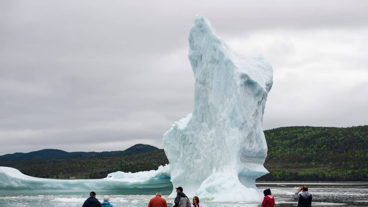 Turistit ihailevat jäävuoren palasta Kanadassa.