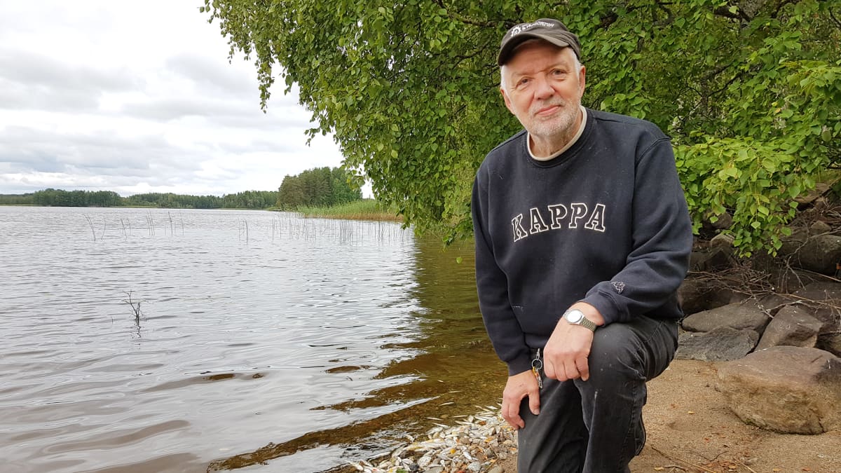 Pekka Saarikon mukaan järvestä ei ole aiemmin löytynyt tällaista määrää kuolleita kaloja.