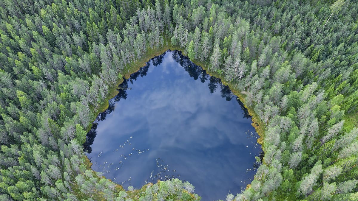 Ilmakuva sydämen muotoisesta lammesta metsässä