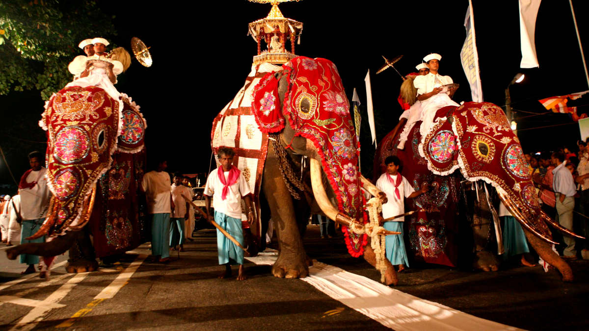 elefantit marssivat juhlakulkueessa Sri Lanka