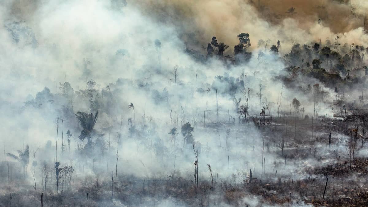 Jamanximin suojeltu alue ja kansallispuisto kuvattuna Paran osavaltiossa Brasiliassa 23. elokuuta. 