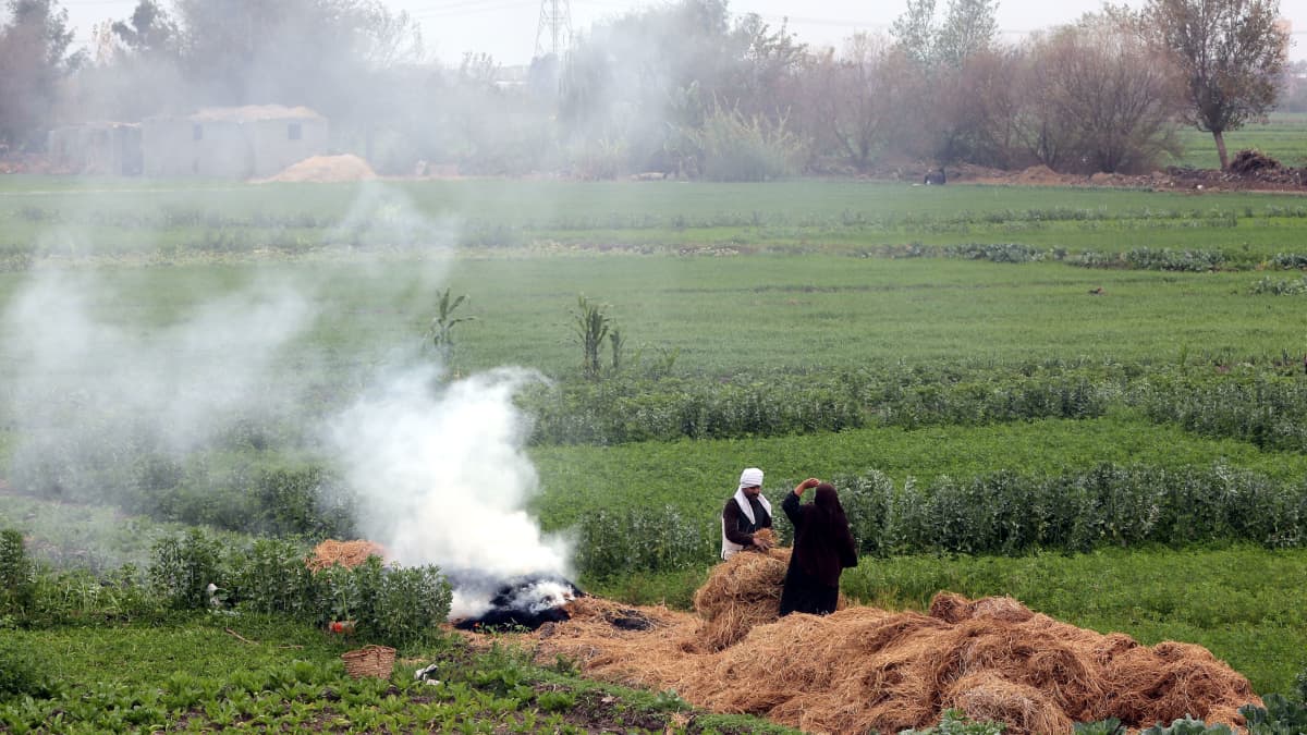 Maanviljelijät polttavat riisin sadonkorjuuroskia