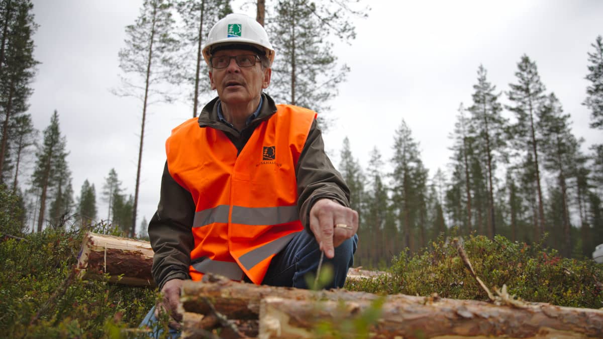 Heikki Nivala
