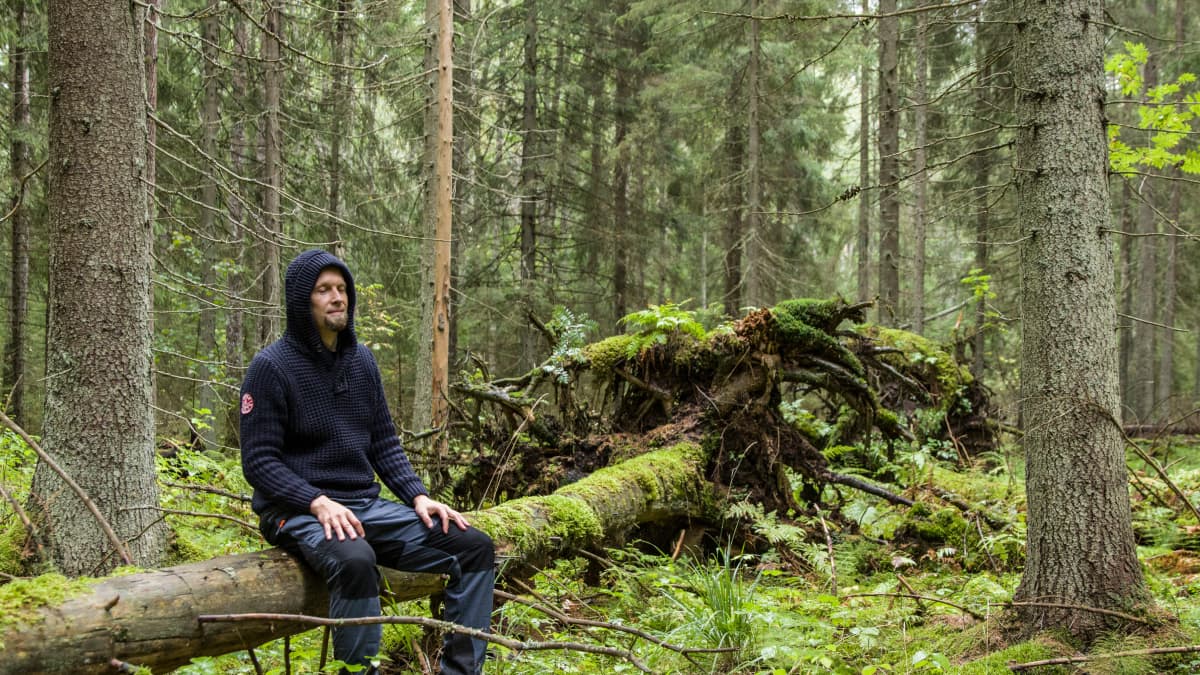 Jarko Taivasmaa voi unohtaa metsässä kaiken, mikä liittyy työhön tai ihmissuhteisiin. 