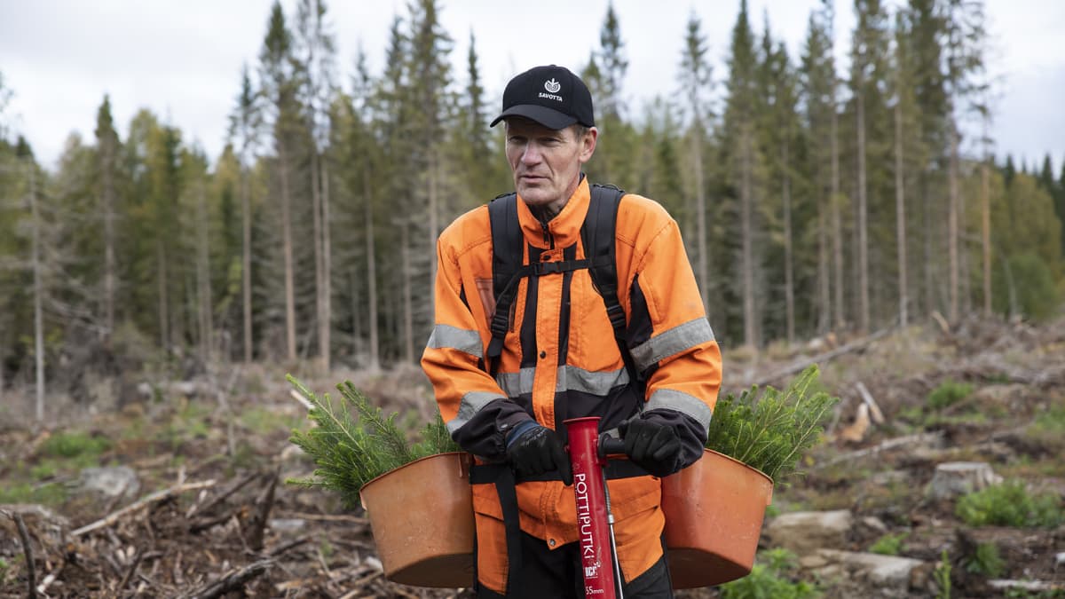 Vaaraslahden petoyhdyshenkilö Esa Lappi