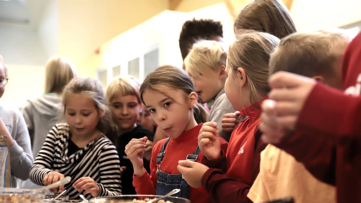 Koululaiset maistoivat hyönteisruokaa Porissa.
