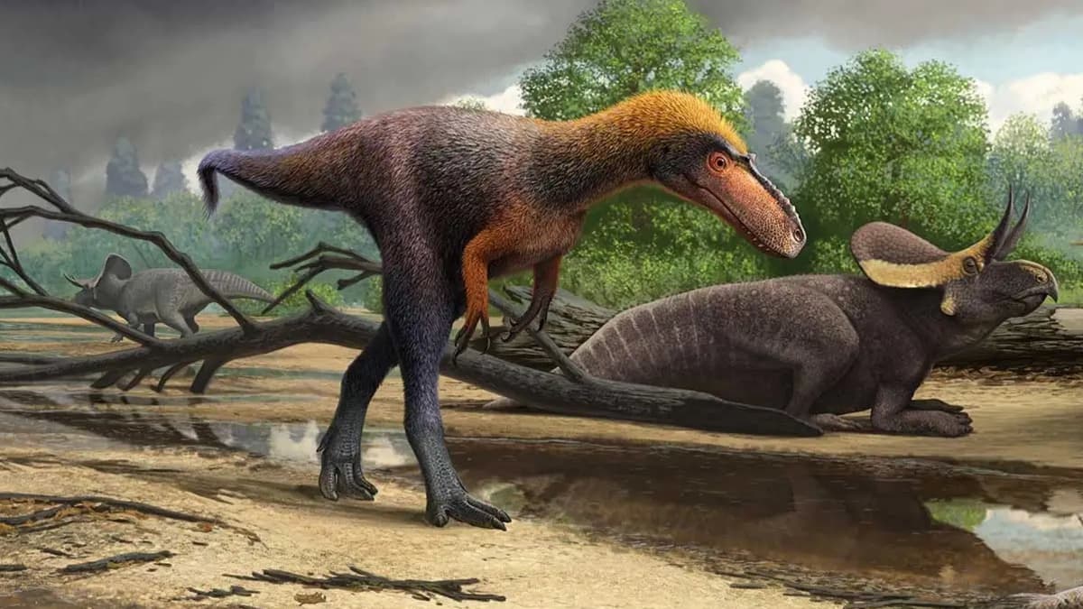 Ohuen turkin peittämä dinosaurus kävelee kahdella jalalla kahden muun dinosauruksen ohi. 