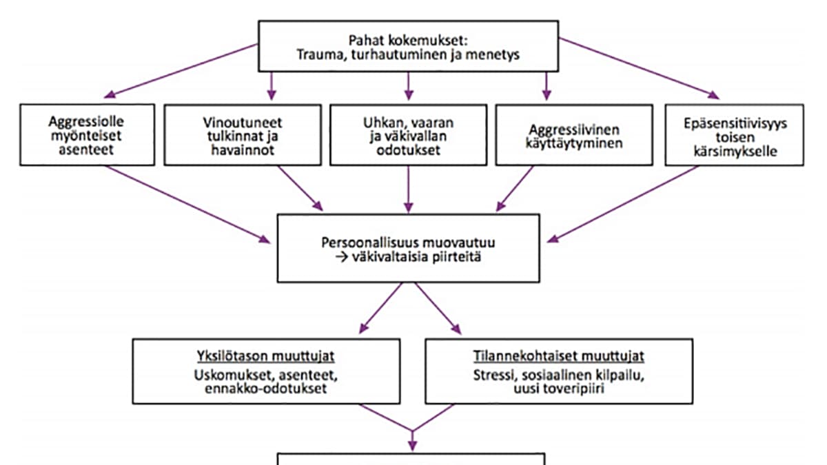 Kuvakaappaus Henri Rikanderin luentomateriaalista.