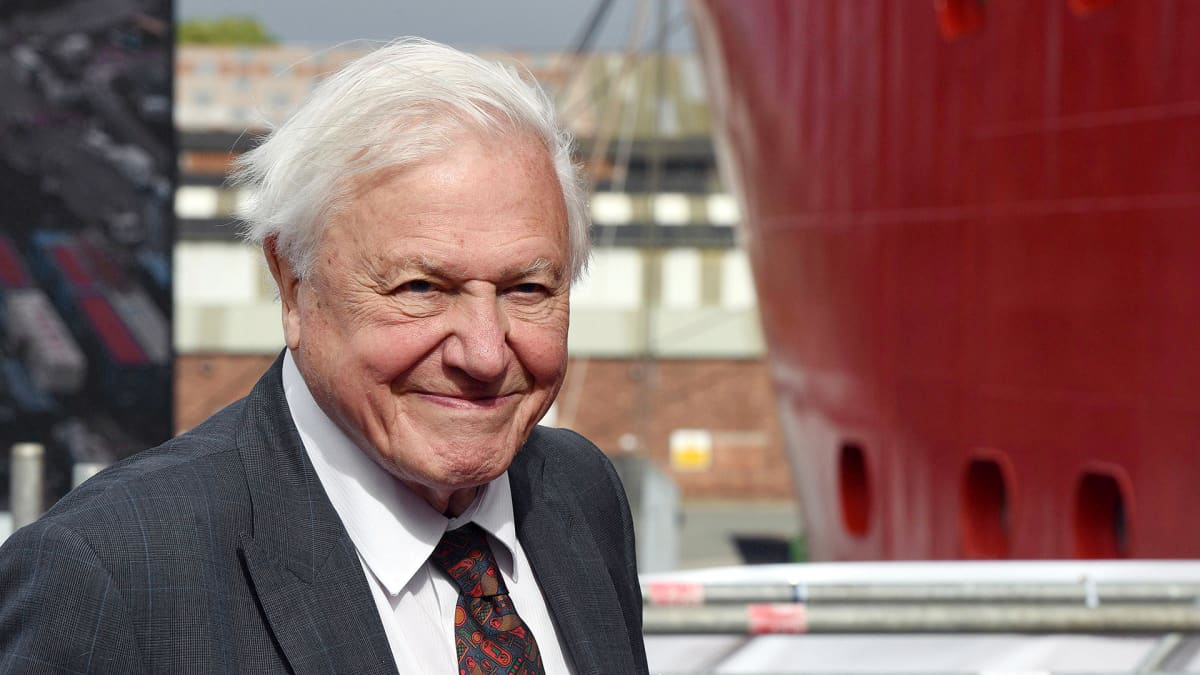 David Attenborough