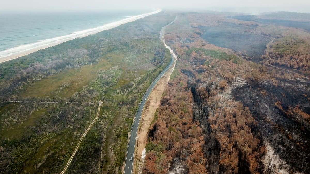 Burnt bushes near Port Macquarie, New South Wales, Australia. A devastating start to the Australian bushfire season has prompted a state of emergency in the eastern state of New South Wales (NSW), with the country's largest city, Sydney bracing for catastrophic fire danger. On Monday, a state of emergency was declared for NSW, with exceptionally hot and windy conditions predicted for Tuesday, threatening to create an even bigger fire disaster than that which left three people dead last week.