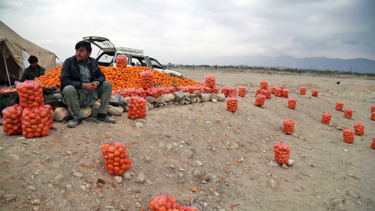 Appelsiinikauppias Jalalbadissa Afganistanissa.