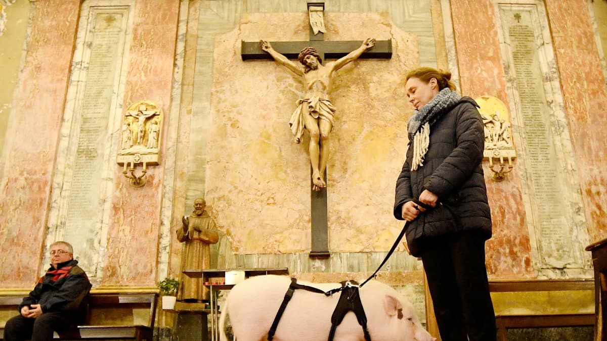 Nainen odottaa sikansa kanssa siunaamista Eusebion kirkossa.