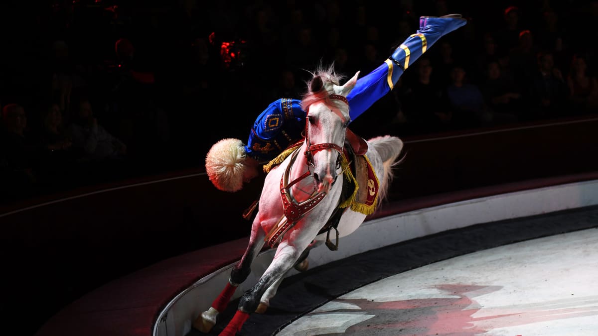 Akrobaatti temppuilee hevosen selässä sirkusareenalla.