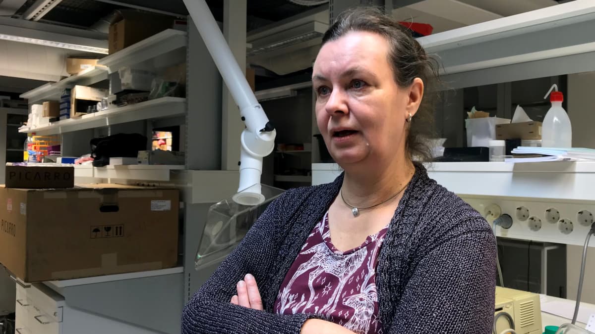 Dosentti Laura Kvist Oulun yliopiston ekologian ja genetiikan yksiköstä.
