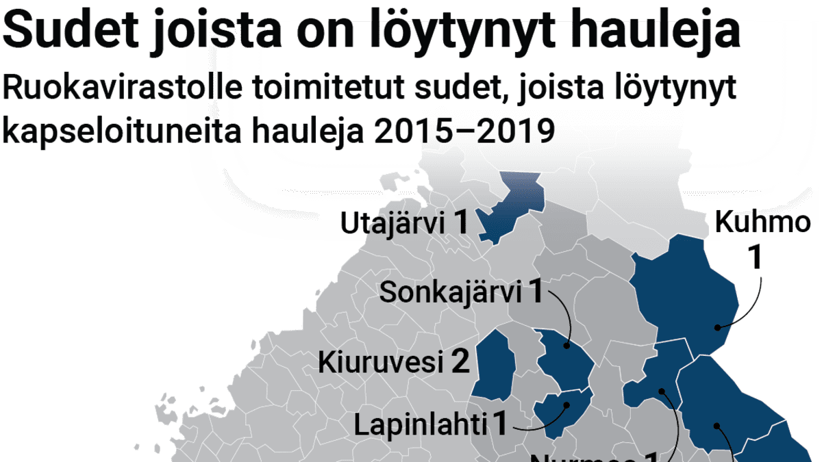 grafiikka: Asmo Raimoaho / Yle