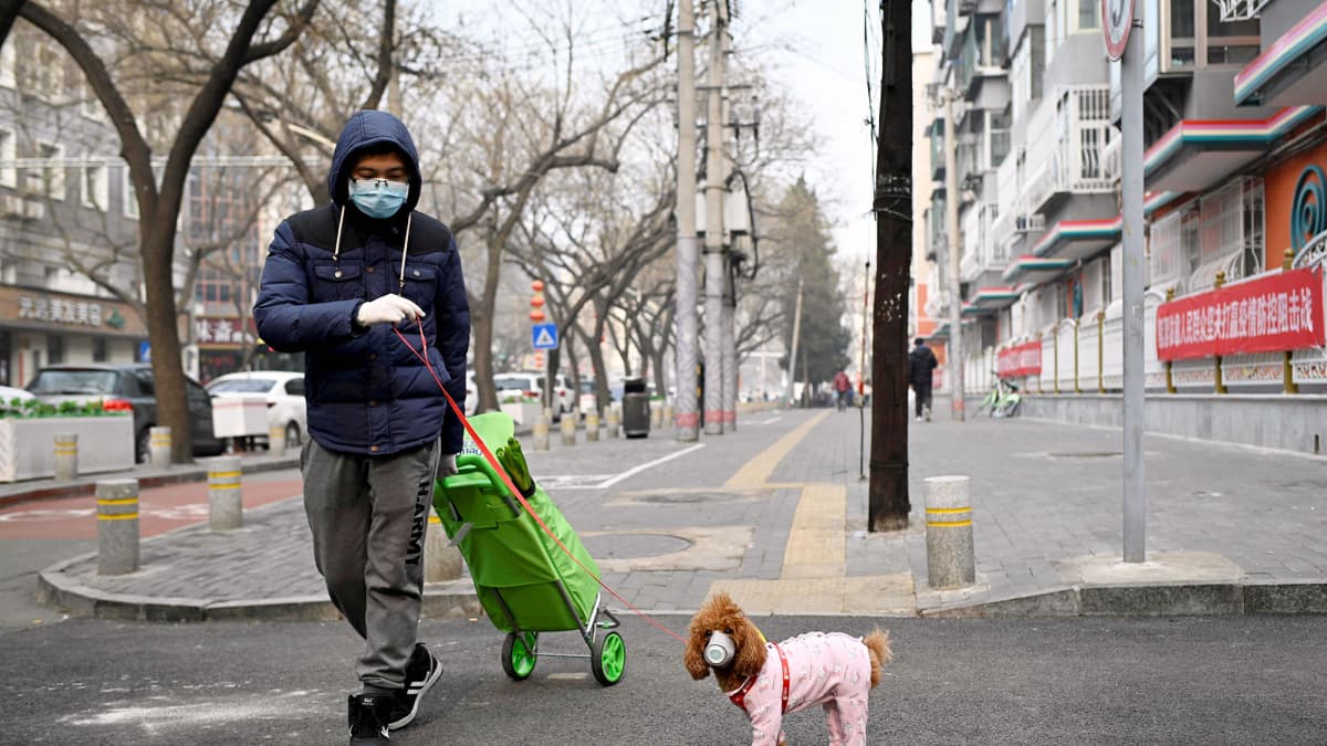 Mies ulkoiluttaa koiraa Pekingissä.