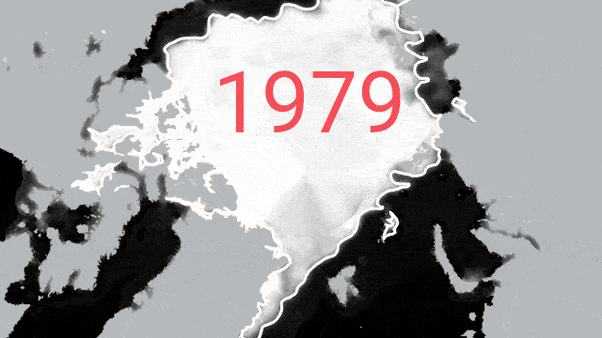 Napajään pinta-ala 15.9. 1979–2020 (materiaalista puuttuvat vuodet 1981, 1983 ja 1984). Valkoinen rajaviiva kuvassa, on vuoden 1979 jääpeitteen laajuus. 