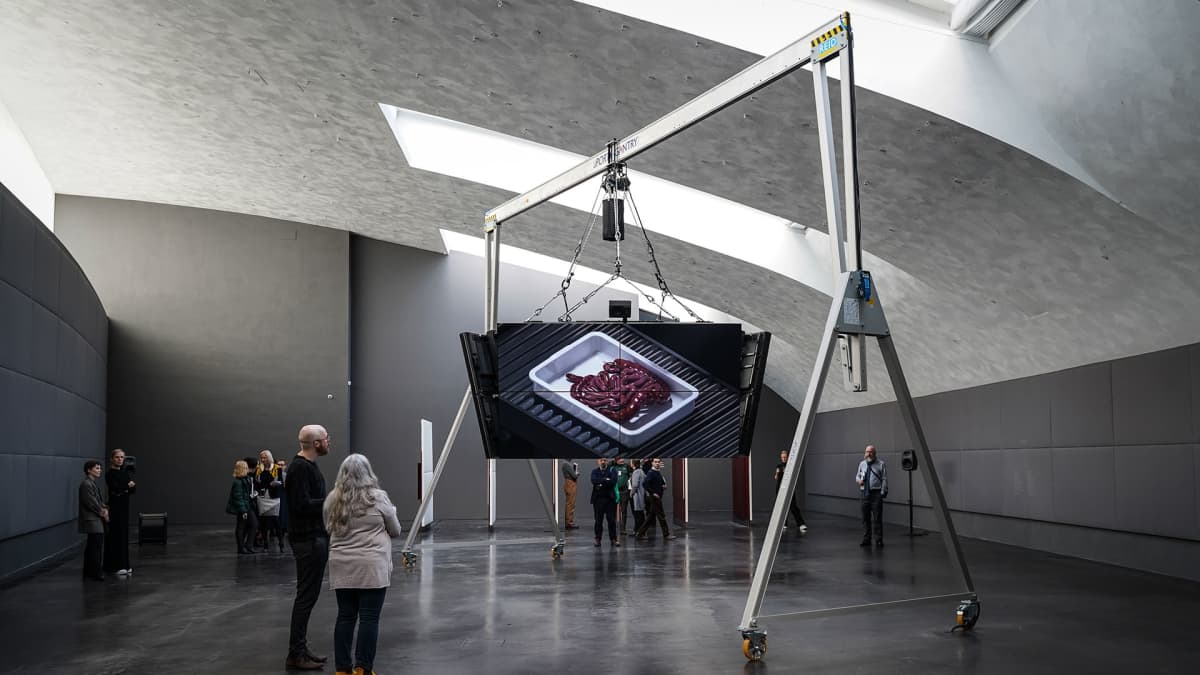 Ed Atkins, Kiasma, safe Conduct, videotaide