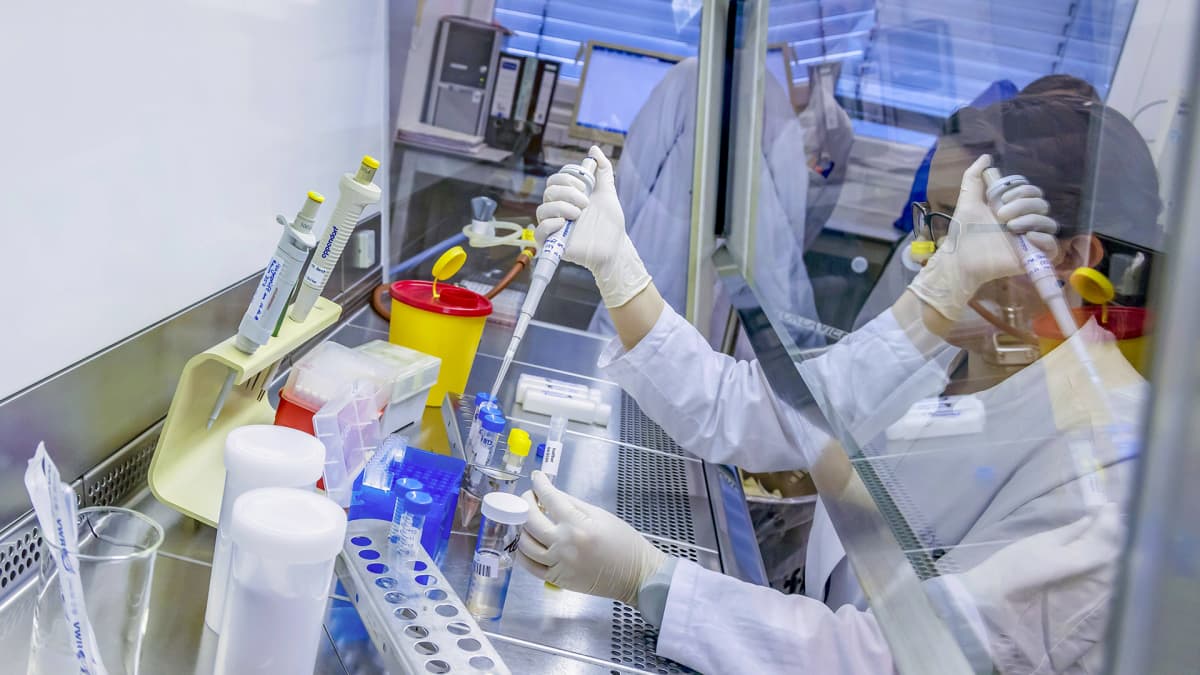 Koronavirunäytteitä testataan laboratoriossa Stuttgartissa.