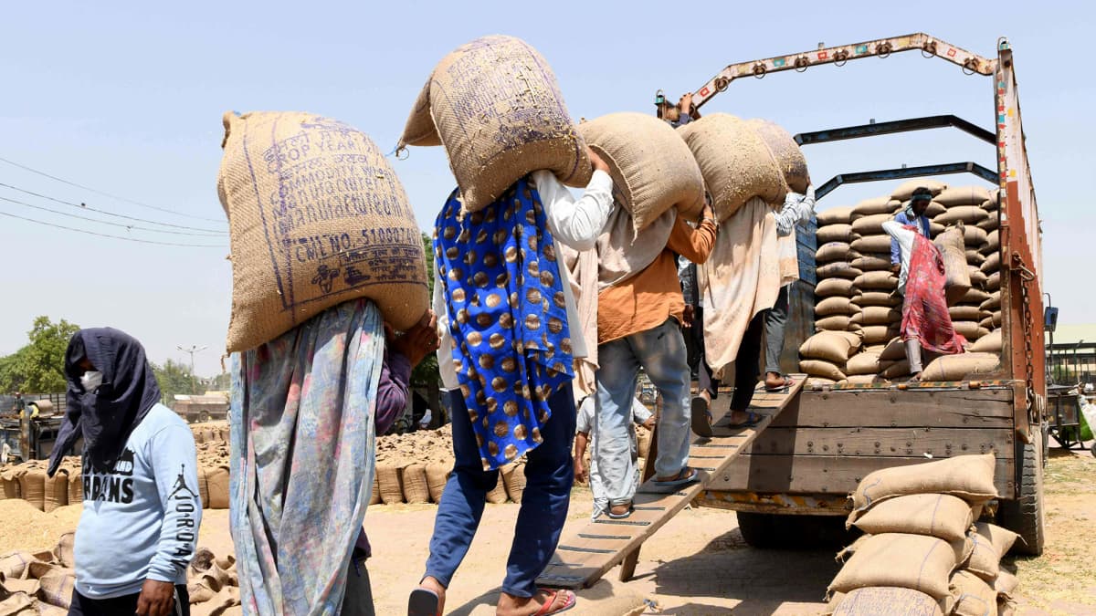 Työntekijät kantavat viljasäkkejä Amritsarissa.