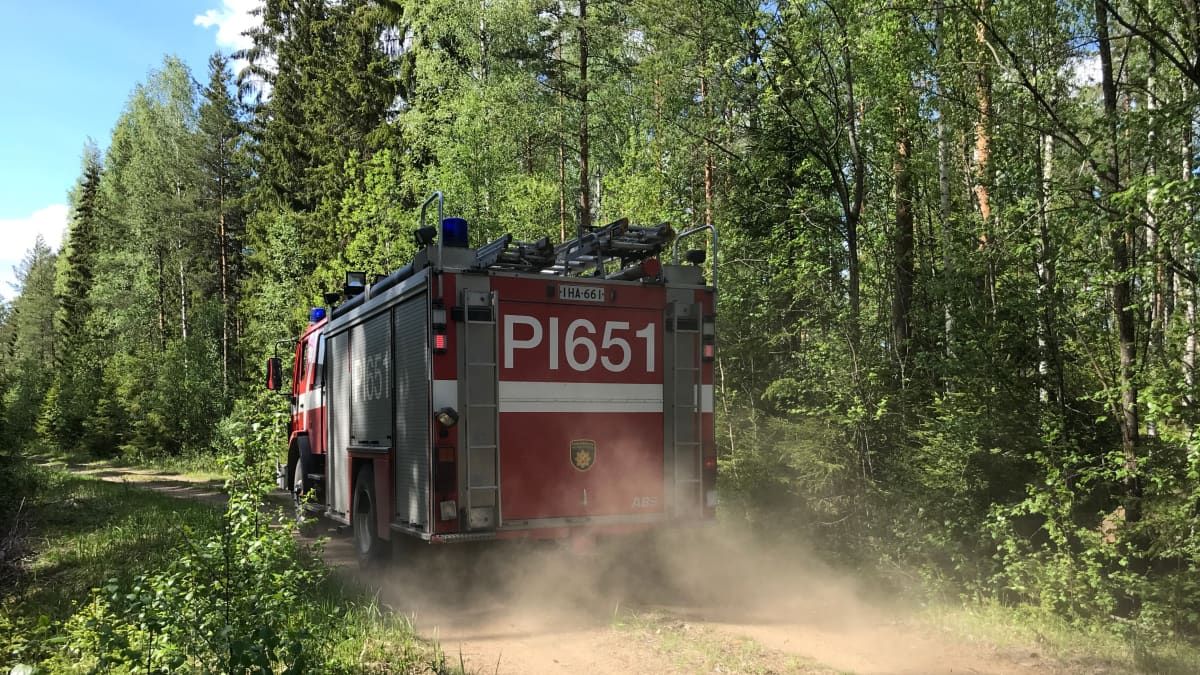 Paloauto metsätiellä