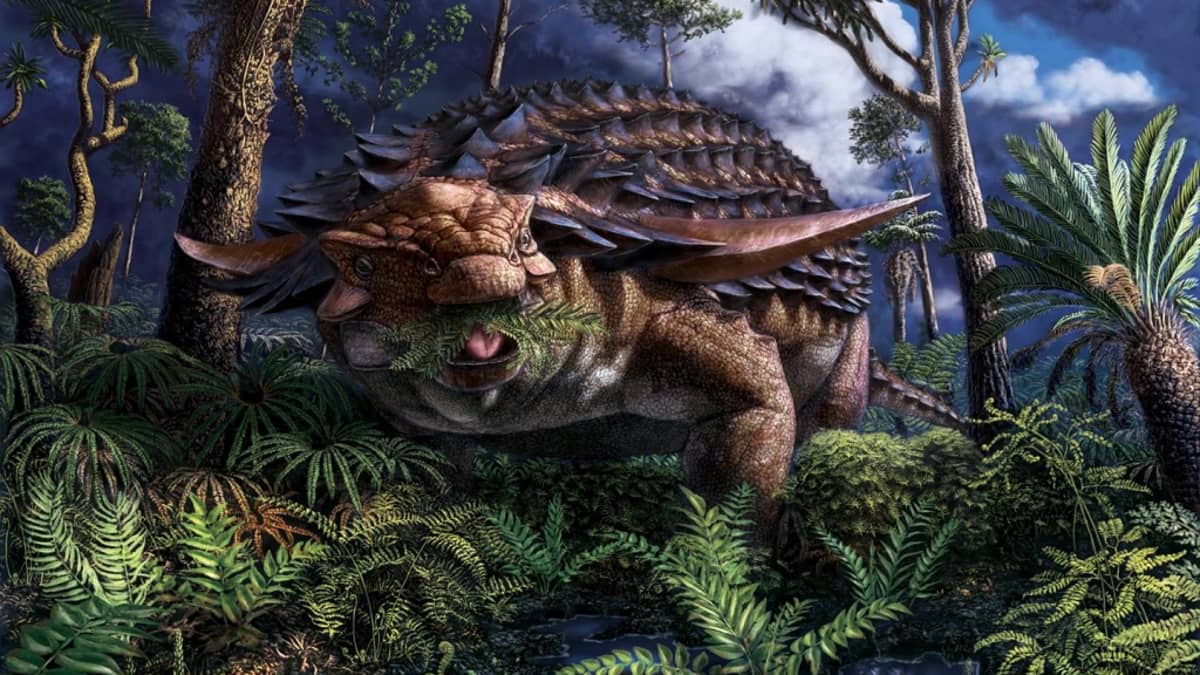 Panssarin suojaama matala dinosaurus saniaisia suussaan rehevässä metsässä. 