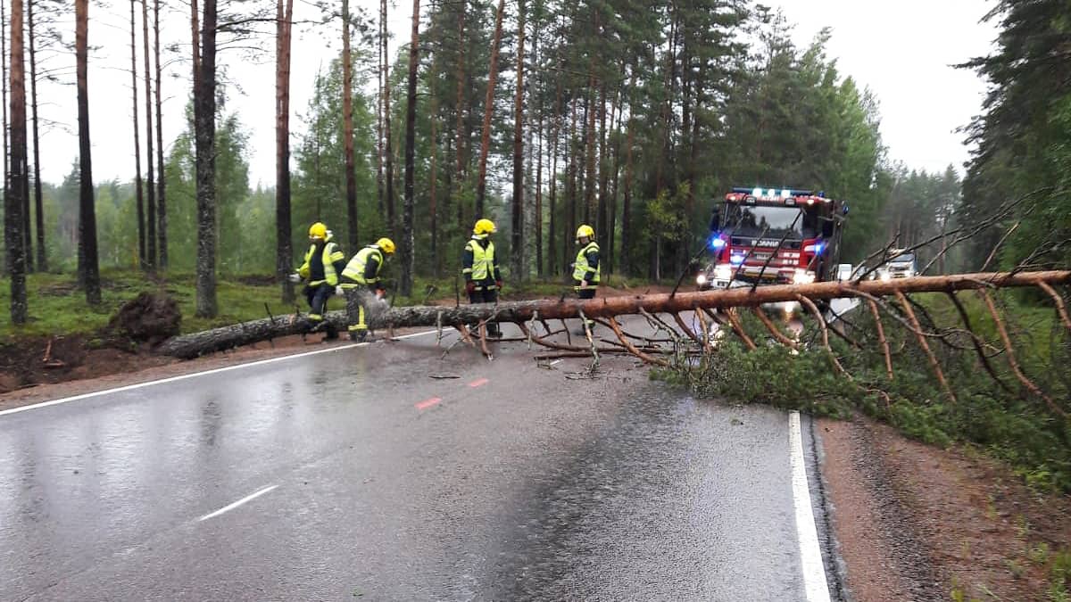 Pelastuslaitos raivaa tielle kaatunutta puuta Miehikkälässä.