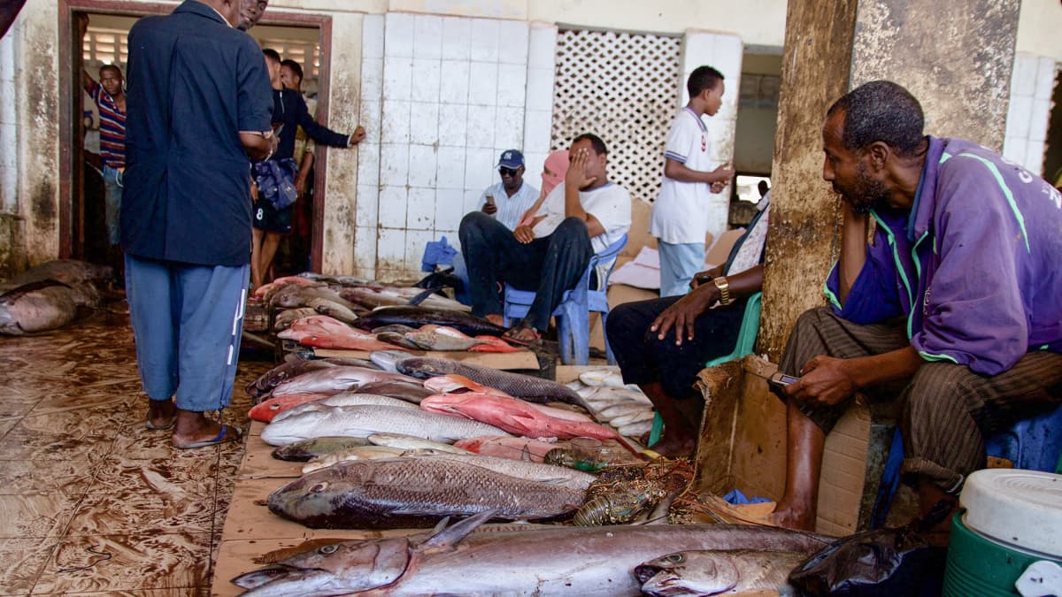 Mogadishun kalamarkkinoilla myydään tuoretta kalaa.