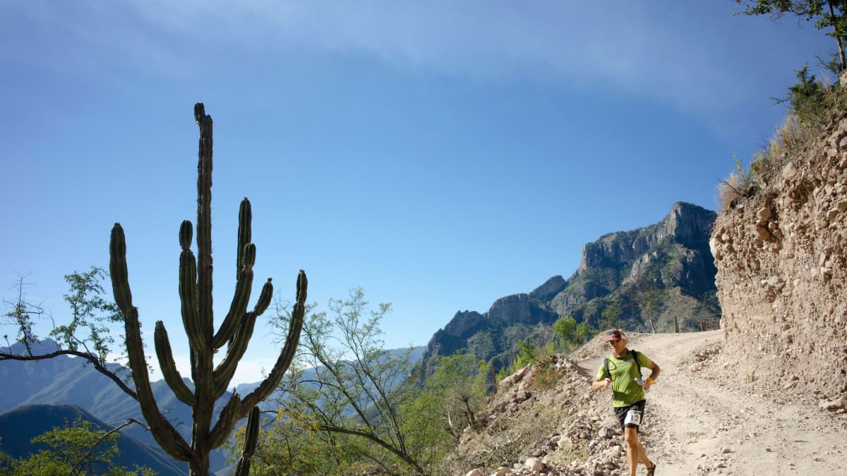 Kaktus ja juoksija Copper Canyon Ultramaratonilla