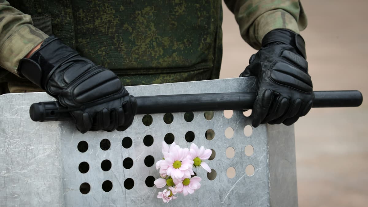 Mielenosoittajat työnsivät sotilaiden kilpivarustukseen kukkia Minskissä.