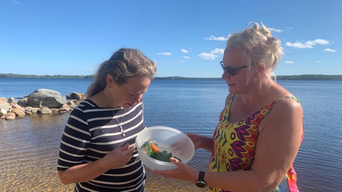 Akvaariotalo Maretariumin toimitusjohtaja Sari Saukkonen (vas) tuli noutamaan Meppu Mäkeläisen pyydystämän sinisen täpläravun. 
