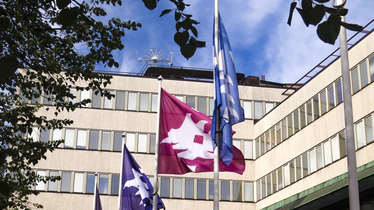Pothania, Helsingin yliopiston rakennuksia.