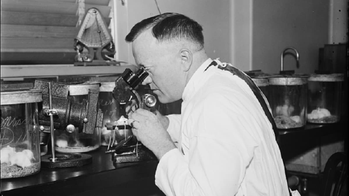 Mustavalkoinen kuva valkotakkisesta miehestä, joka katsoo vanhanaikaiseen mikroskooppiin. 