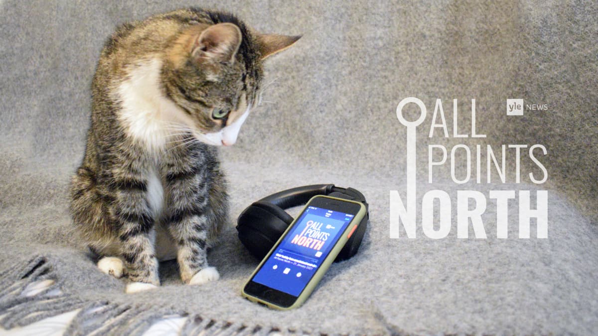 All Points North podcast logo featuring photo of cat looking at smartphone and headphones.