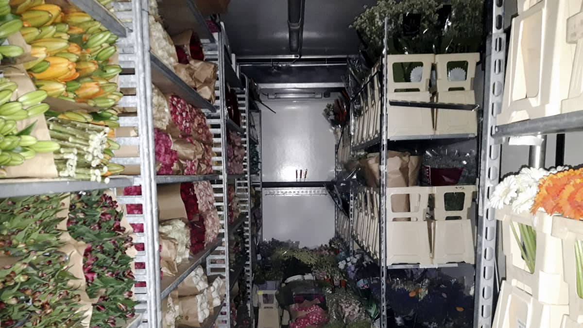 Poliisin handout-kuvassa kukka-auto: huumausaineet oli pakattu kuorma-autoon kukkien ja kasvien kuljetusruukkuihin