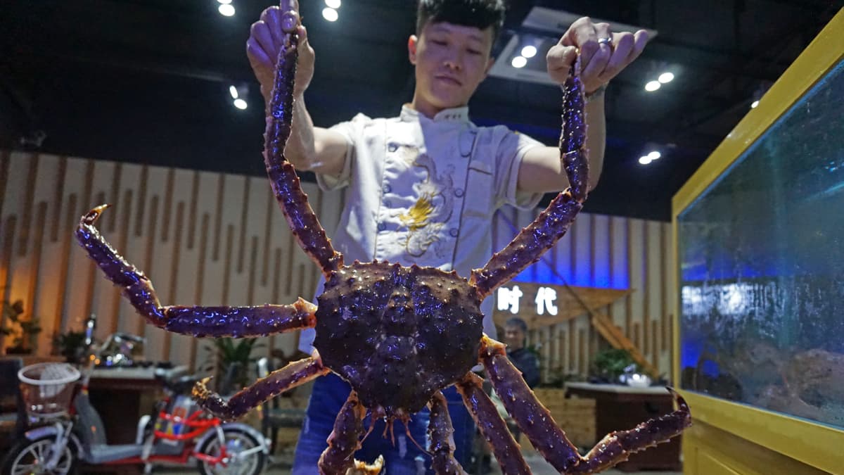 Rapu kalaravintolassa Dongguanissa Kiinassa marraskuussa 2015.