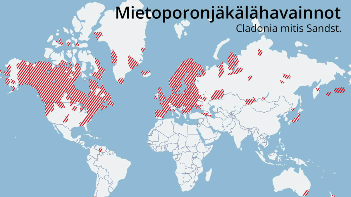 Mietoporonjäkälähavainnot maailmassa -kartta.