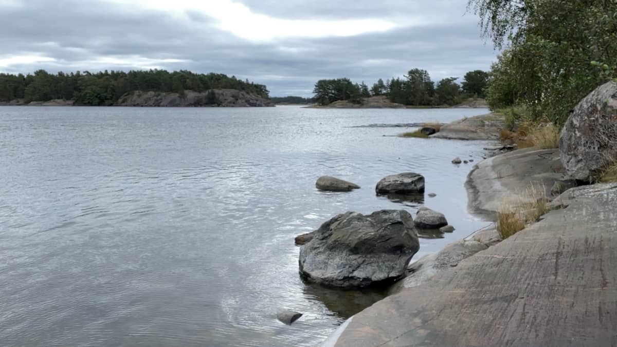 Tvärminnen eläintieteellisellä tutkimusasemalla on seurattu Suomenlahden tilaa pitkäaikaisseurannalla pian sadan vuoden ajan. 