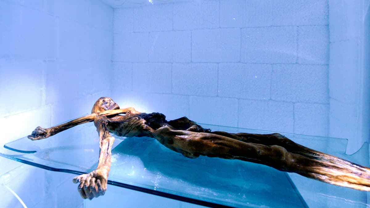 Jäämies Ötzin luonnollisesti muumioitunut ruumis Etelä-Tirolin arkeologisen museon kylmähuoneessa.