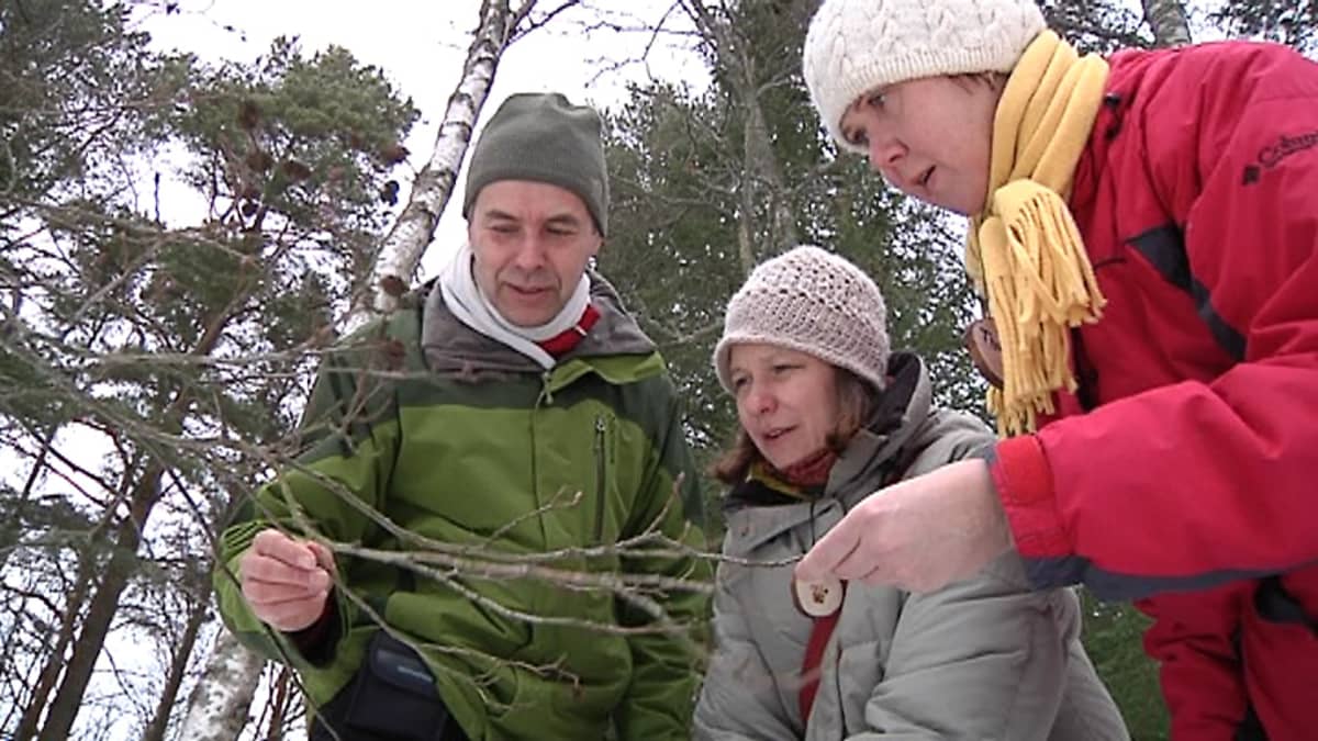 Kuvassa luontokoulujen opettajat Tiina Lecklin, Olli Viding ja Virpi Sahi rastitehtävän parissa Kokkolan luontokoulun lähimaastossa Villa Elbassa.