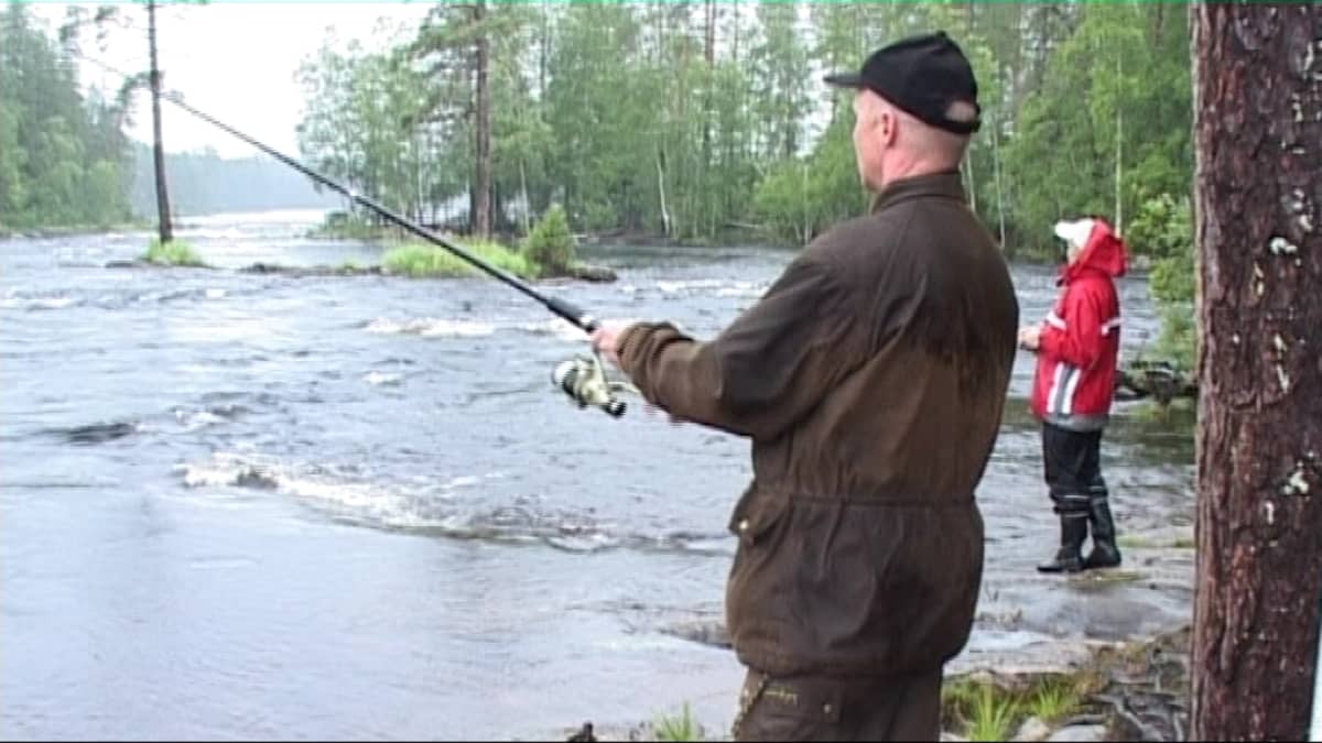 Pyyntikausi alkaa valtion kala-apajilla | Yle Uutiset