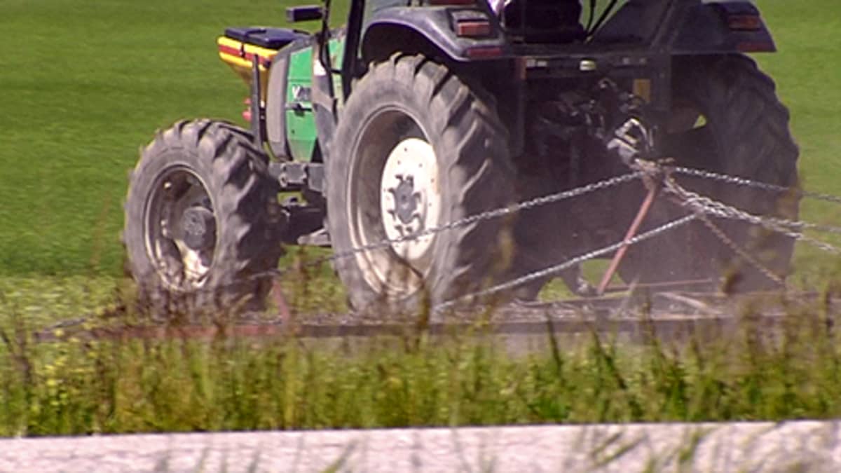 Traktori luomuviljellyllä pellolla.