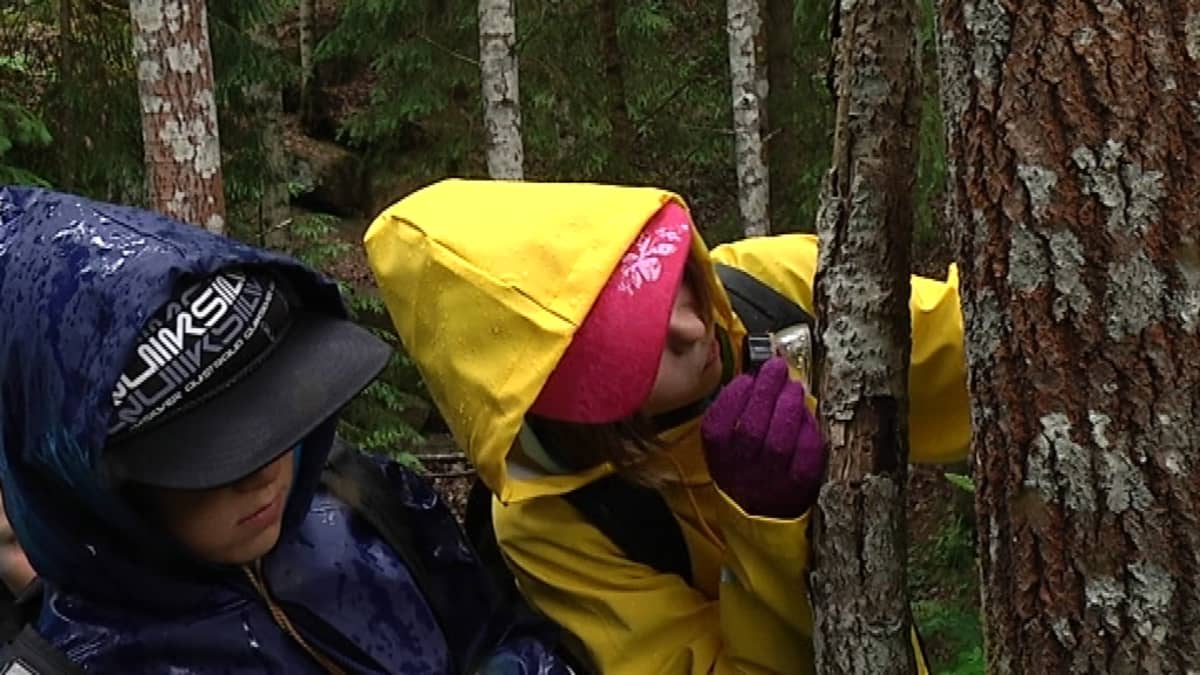 lapset tutkivat lahoa puunrunkoa sateisessa metsässä
