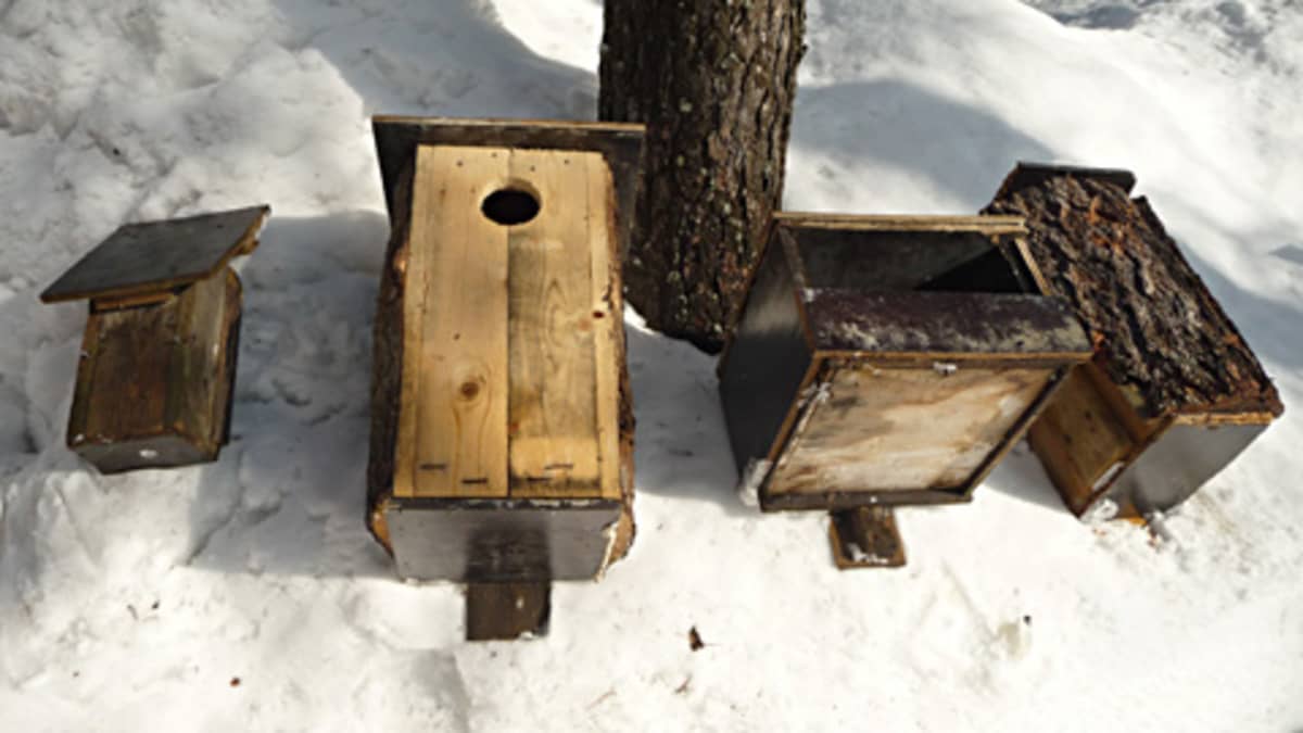 Kuvassa erilaisia linnunpönttöjä.