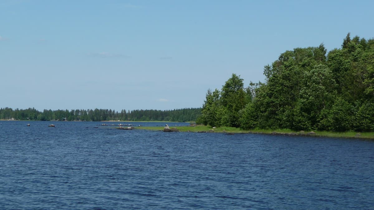 Suomen parhaat järvet löytyvät Etelä-Savosta | Yle Uutiset