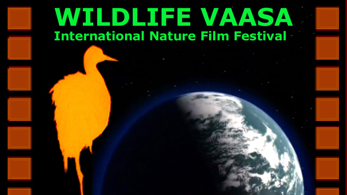 Vaasa Wildlife festivaaliin lähetettiin yli 850 luontoelokuvaa. | Yle  Uutiset