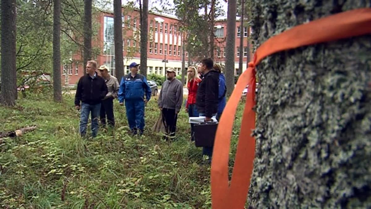 Juankoski saa kaataa kiistaa aiheuttaneet puut | Yle Uutiset